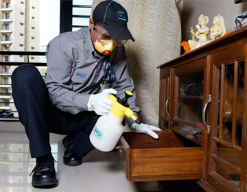 Termite Control Services and pest control exterminators near me